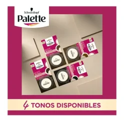 Outlet PALETTE Root Retouch