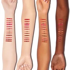 Rouge Contour*DIOR New