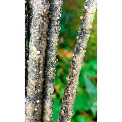 Outlet SAGRADA MADRE Sahumerio Natural