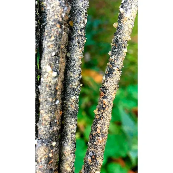 Outlet SAGRADA MADRE Sahumerio Natural