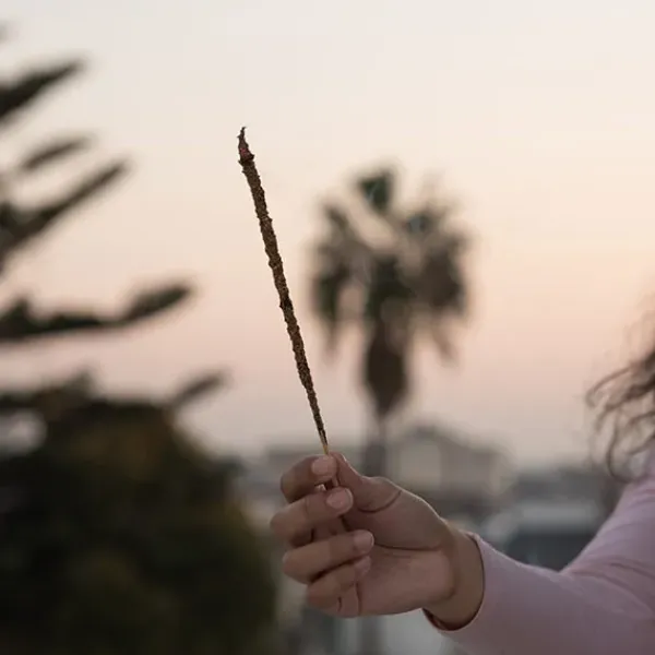 Outlet SAGRADA MADRE Sahumerio Natural