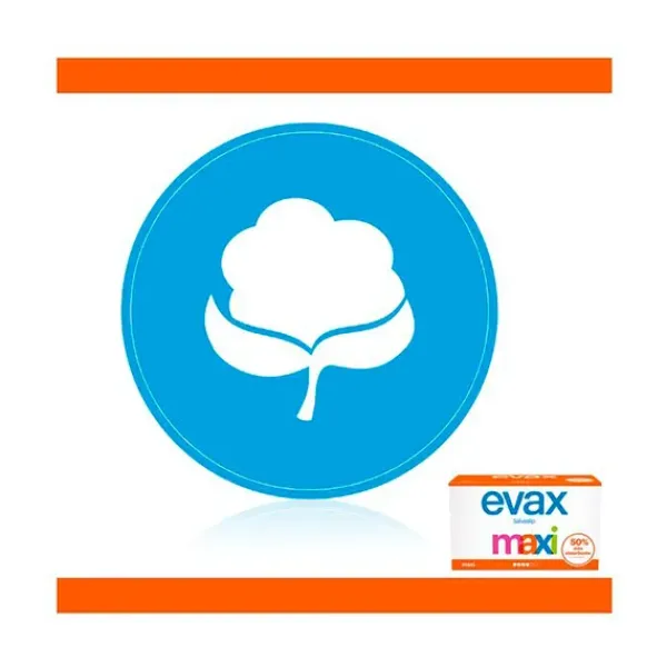 Salvaslip Maxi*EVAX Online