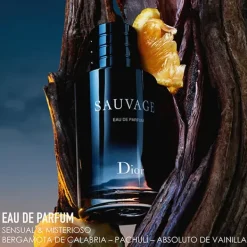 Online DIOR Sauvage Eau De Parfum Recarga
