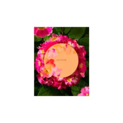 Seeking Flowers Iluminador Crema A Polvo*CATRICE Discount