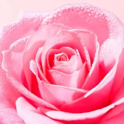 Serum Voluminizador De Labios*NUXE Outlet