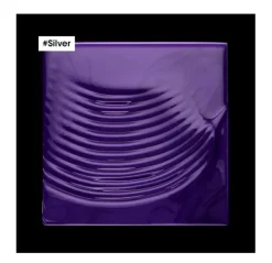 Silver Shampoo*L'OREAL PROFESSIONNEL Discount