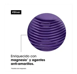 Silver Shampoo*L'OREAL PROFESSIONNEL Discount