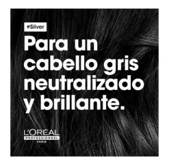 Silver Shampoo*L'OREAL PROFESSIONNEL Discount