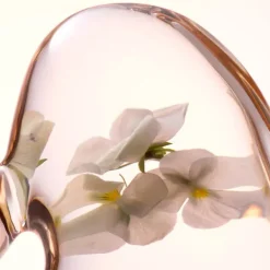 Skin Essentials Softening Perfecting Toner*LANCASTER Discount