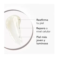 Best Skin Repair Elixir Rostro