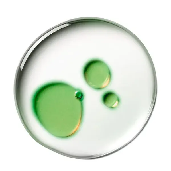 Hot ELANCYL Slim Design Cellulite