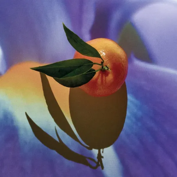 Solo Elixir Perfumes