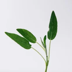 Best Solo Vulcan Perfumes