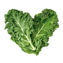 Sérum Age Killer*LACABINE Online