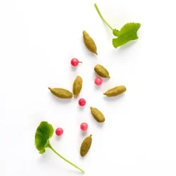 Best Stronger With You Eau De Toilette Perfumes