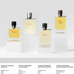 Terre D'hermès Eau Givrée*HERMÈS