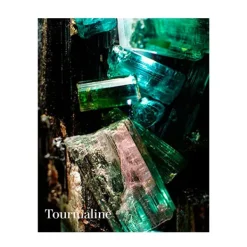 The Calming Lotion Cleanser Limpieza