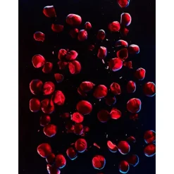 Tommy Impact Spark E.T*TOMMY HILFIGER Outlet