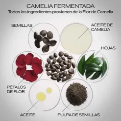 New Ultimune Power Infusing Concentrate 3.0 Serums