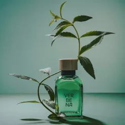 Clearance Verbena Perfumes