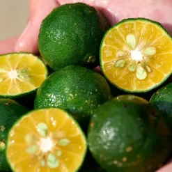 Sale Waso Shikulime Gel-To-Oil Cleanser Limpieza