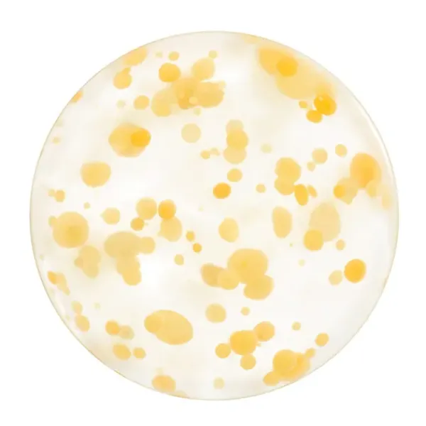 Waso Yuzu-C Beauty Sleeping Mask*SHISEIDO Outlet