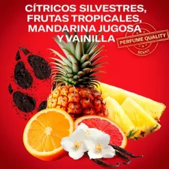 Wolfthorn*OLD SPICE Outlet