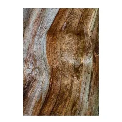 New Wood Essence Perfumes